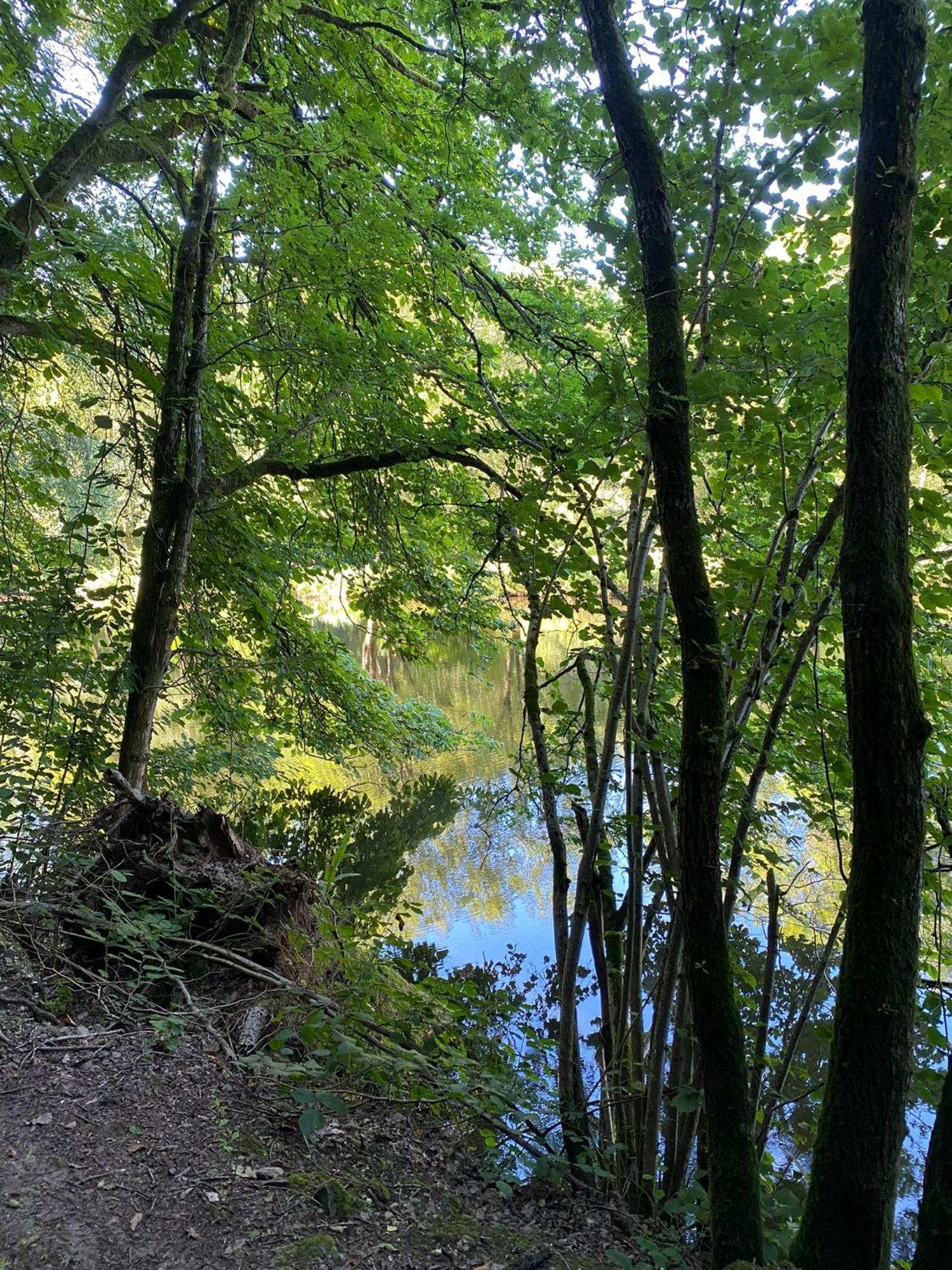 Ferienhaus Vulkaneifel Abtei Himmerod Großlittgen Exterior foto