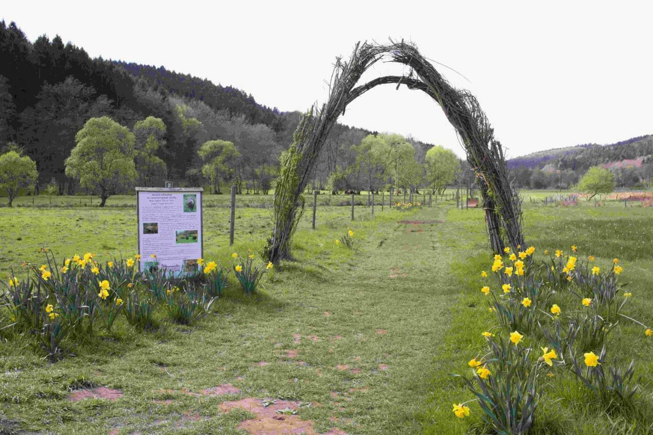Ferienhaus Vulkaneifel Abtei Himmerod Großlittgen Exterior foto
